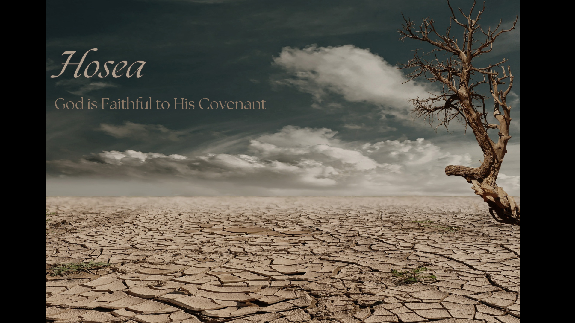 Hosea 2 | God Disciplines His Beloved